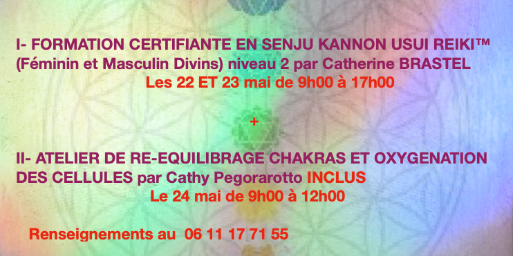 Capture d’écran 2021-05-05 à 13.01.08